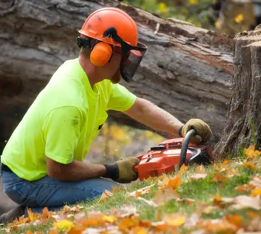 tree services Franklinville